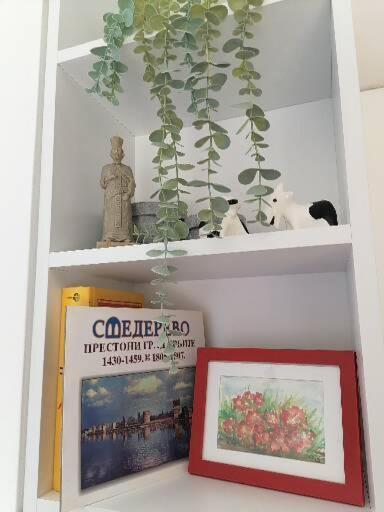 Anka Apartman Szendrő Kültér fotó