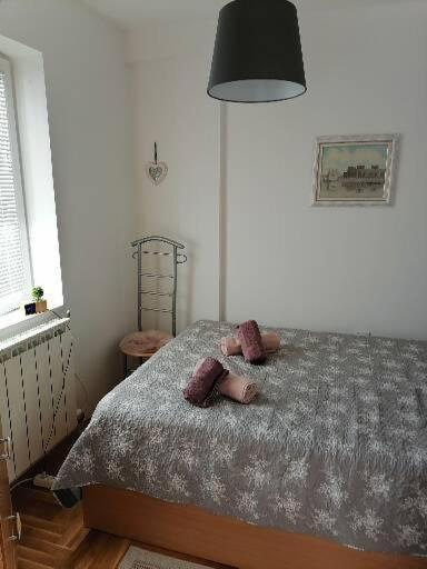 Anka Apartman Szendrő Kültér fotó