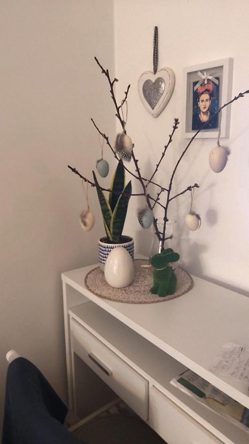 Anka Apartman Szendrő Kültér fotó